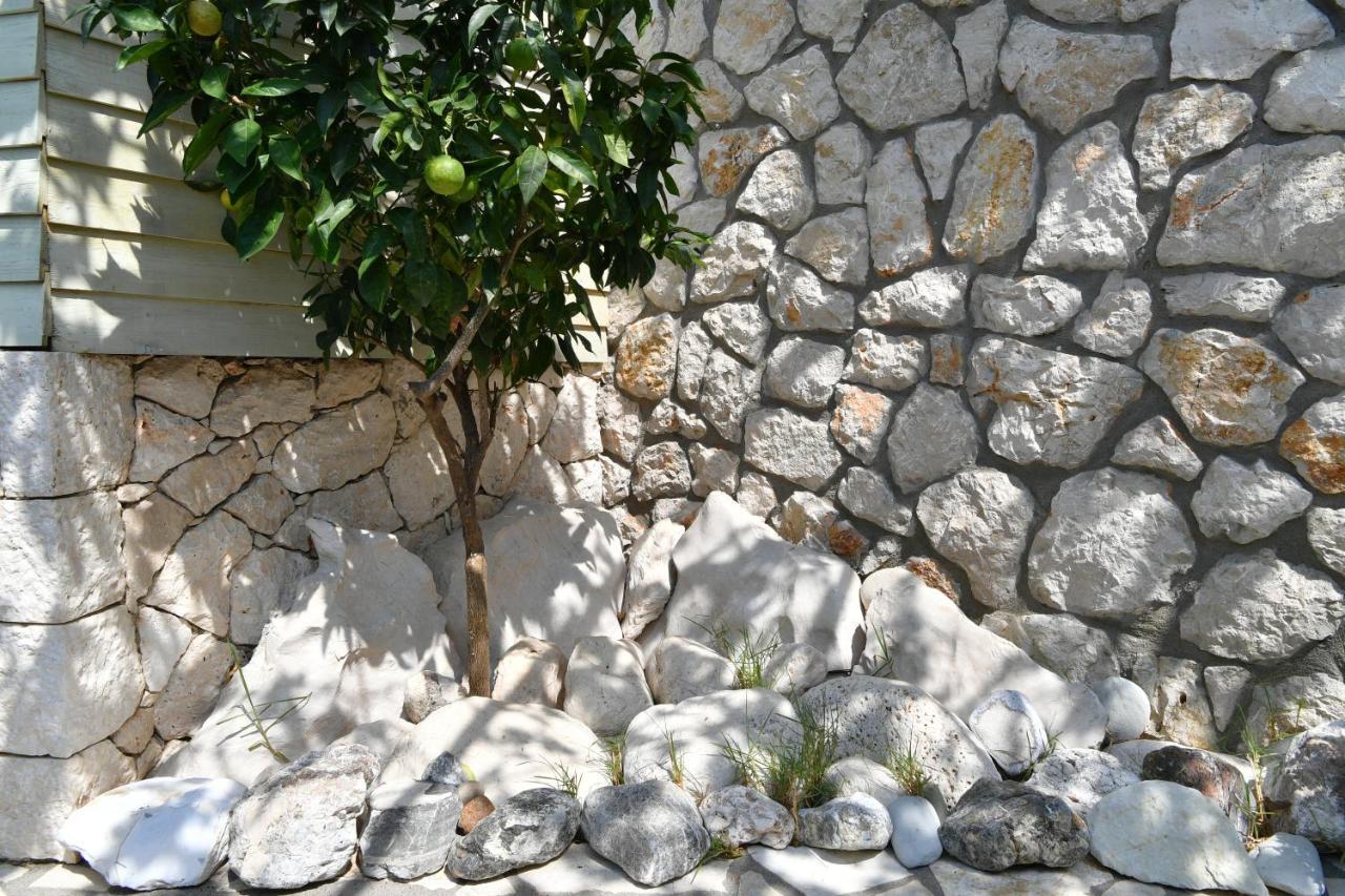 Villa Christianna Studios Áyios Nikítas Dış mekan fotoğraf